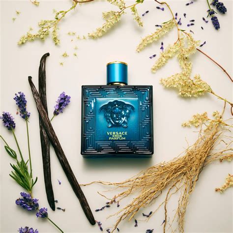 notas versace eros|versace eros smell like.